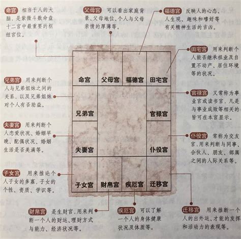 金四局命主文曲|掌握紫微斗数基本功，让您看命盘时会截然不同的理。